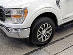 2021 F-150 Thumbnail 12