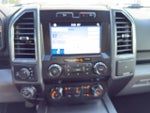 2019 F-150 Thumbnail 11