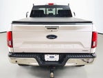 2019 F-150 Thumbnail 13