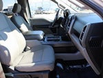 2019 F-150 Thumbnail 8