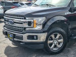 2019 F-150 Thumbnail 2