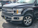 2019 F-150 Thumbnail 3