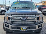 2019 F-150 Thumbnail 4