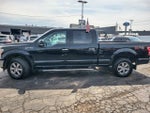 2019 F-150 Thumbnail 5