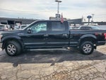 2019 F-150 Thumbnail 6