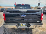 2019 F-150 Thumbnail 8