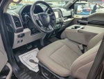 2019 F-150 Thumbnail 14
