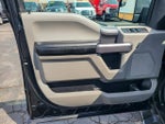2019 F-150 Thumbnail 24