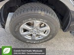 2019 F-150 Thumbnail 8