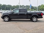 2020 F-150 Thumbnail 6