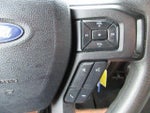 2020 F-150 Thumbnail 11