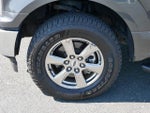 2020 F-150 Thumbnail 9