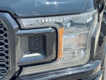 2019 F-150 Thumbnail 10