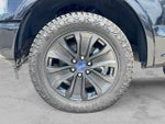 2019 F-150 Thumbnail 13