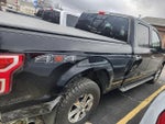 2019 F-150 Thumbnail 9