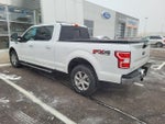 2019 F-150 Thumbnail 2