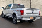 2019 F-150 Thumbnail 4