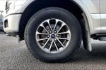 2019 F-150 Thumbnail 8