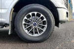 2019 F-150 Thumbnail 34