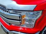 2019 F-150 Thumbnail 4