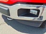 2019 F-150 Thumbnail 5