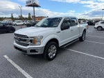 2020 F-150 Thumbnail 4