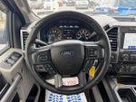 2020 F-150 Thumbnail 15