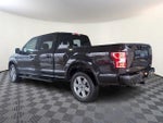 2019 F-150 Thumbnail 4