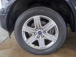 2019 F-150 Thumbnail 8