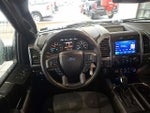 2019 F-150 Thumbnail 11
