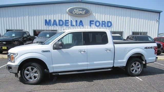 Preowned 2019 Ford F-150 XL for Sale