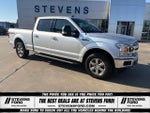 2019 F-150 Thumbnail 3