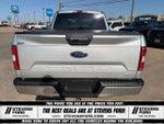 2019 F-150 Thumbnail 13
