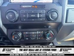 2019 F-150 Thumbnail 29