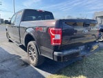 2019 F-150 Thumbnail 2