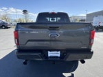 2019 F-150 Thumbnail 4