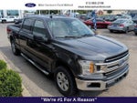 2020 F-150 Thumbnail 3