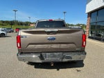 2019 F-150 Thumbnail 4