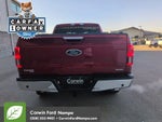2019 F-150 Thumbnail 4