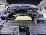 2020 F-150 Thumbnail 7