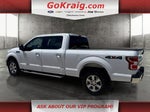 2020 F-150 Thumbnail 7