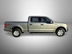 2020 F-150 Thumbnail 4