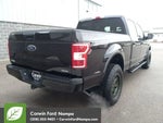 2020 F-150 Thumbnail 3