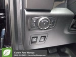 2020 F-150 Thumbnail 13