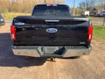 2019 F-150 Thumbnail 4