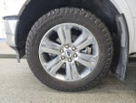 2019 F-150 Thumbnail 10