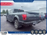 2020 F-150 Thumbnail 4