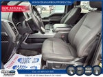 2020 F-150 Thumbnail 6