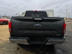 2019 F-150 Thumbnail 12