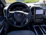 2019 F-150 Thumbnail 5